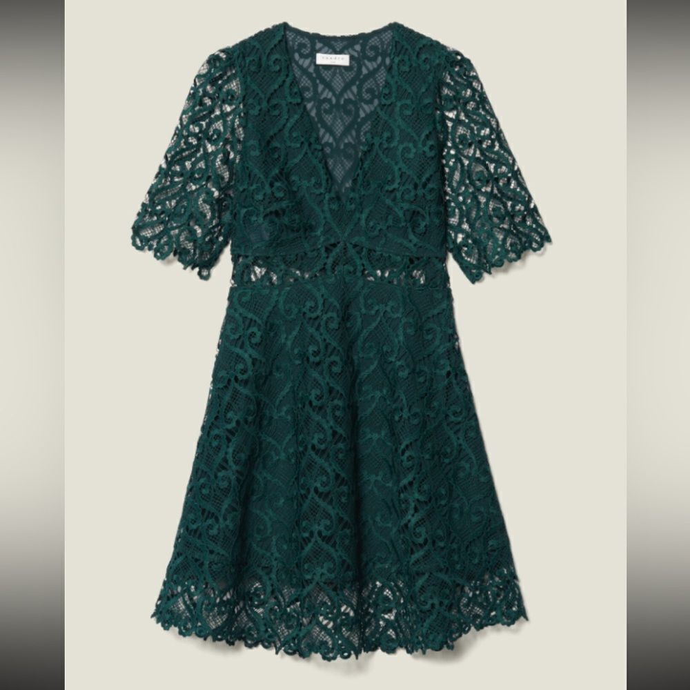 Sandro Paris green lace dress. Stunning lace. Holiday party. Dainty & Delicate.